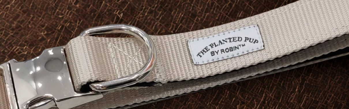 The Planted Pup Collar - 2 Colors/4 Sizes