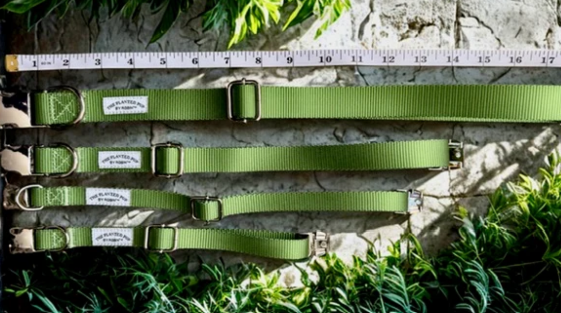 The Planted Pup Collar - 2 Colors/4 Sizes