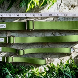 The Planted Pup Collar - 2 Colors/4 Sizes