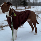 The Planted Pup Lena Sweater - 3 Colors/4 Sizes