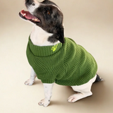 The Planted Pup Lena Sweater - 3 Colors/4 Sizes