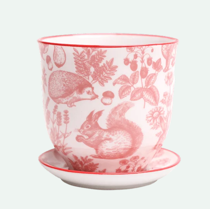 Liberte Porcelain Pot And Saucer - 21 Styles/2 Sizes
