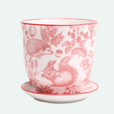 Liberte Porcelain Pot And Saucer - 21 Styles/2 Sizes