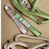 The Planted Pup Planted Leash - 2 Colors