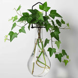 Clear Hanging Drop Bottle Propagation Vase