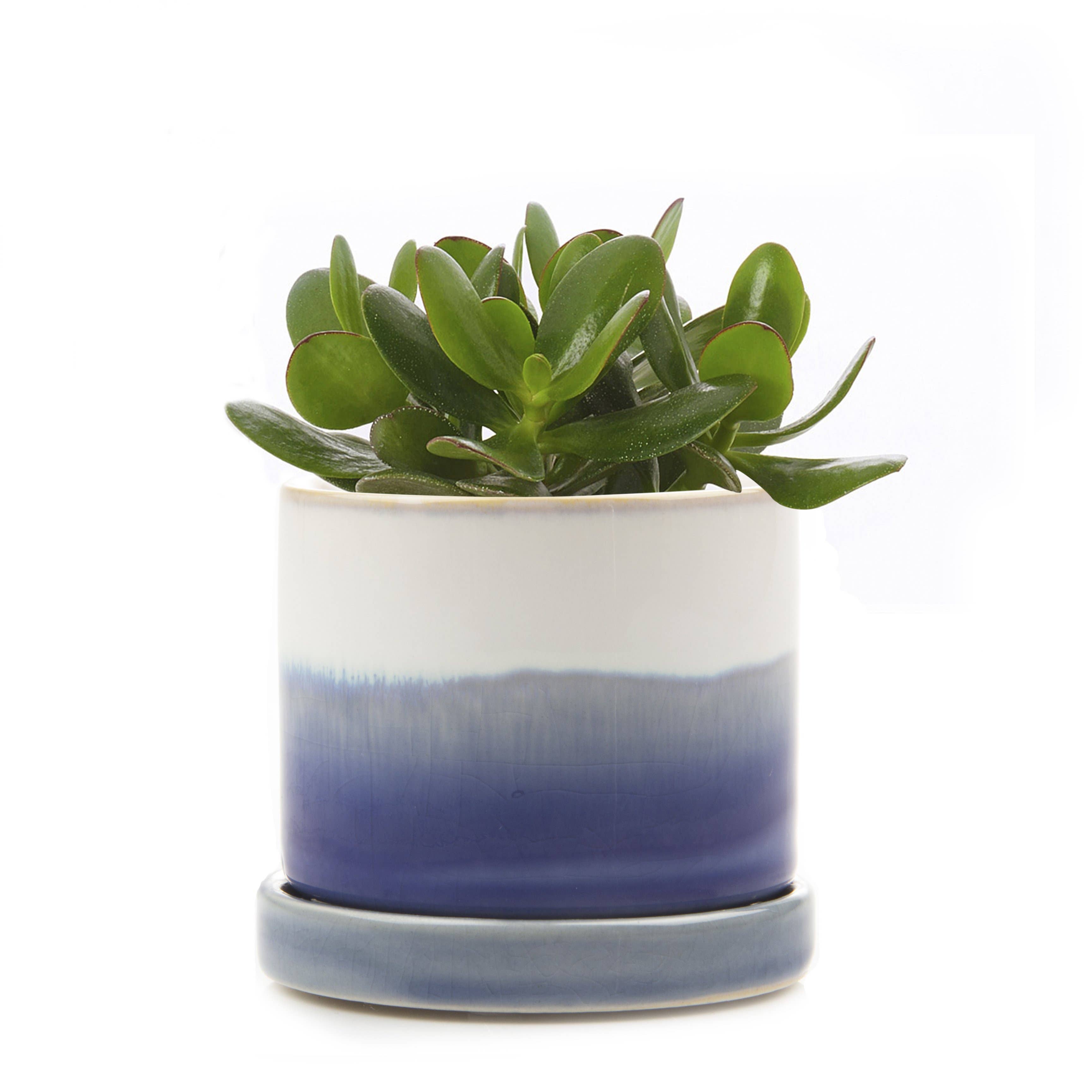 Minute Ceramic Planters - 8 Colors