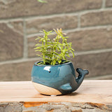 Small Blue Whale Planter