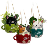 Cats In Cups Mini Hanging Planters - 3 Styles