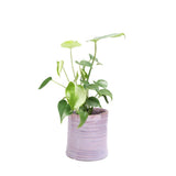 Channa Japanese Planter - 2 Colors