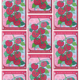 Lost Marbles Tomato Tarot Seed Packet