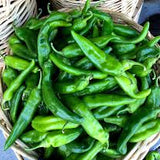 1 Gallon Anaheim Pepper