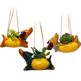 Hot Dog Mini Hanging Planters - 3 Styles