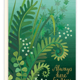 Ferns Sympathy Card