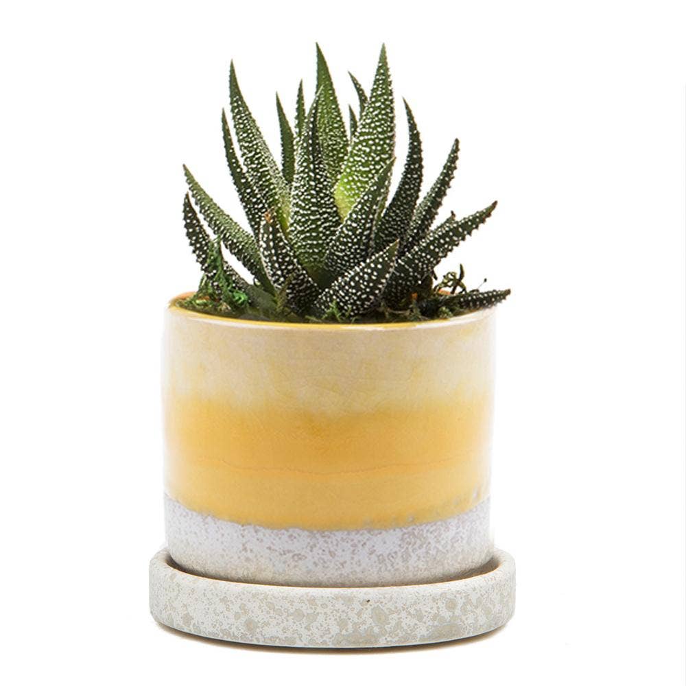 Minute Ceramic Planters - 8 Colors