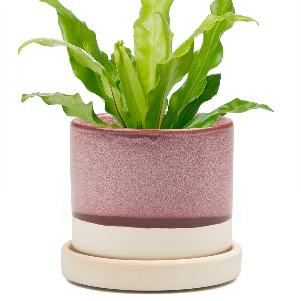 Minute Ceramic Planters - 8 Colors