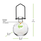 Clear Hanging Ball Propagation Vase