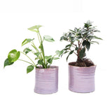 Channa Japanese Planter - 2 Colors