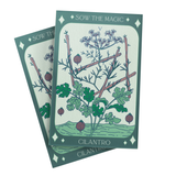 Cilantro Coriander Tarot Seed Packet