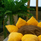 Sunflower Pet Bed