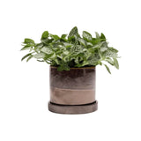Minute Ceramic Planters - 8 Colors/4 Sizes
