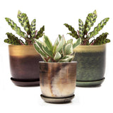 Joe Metal Pots and Planters