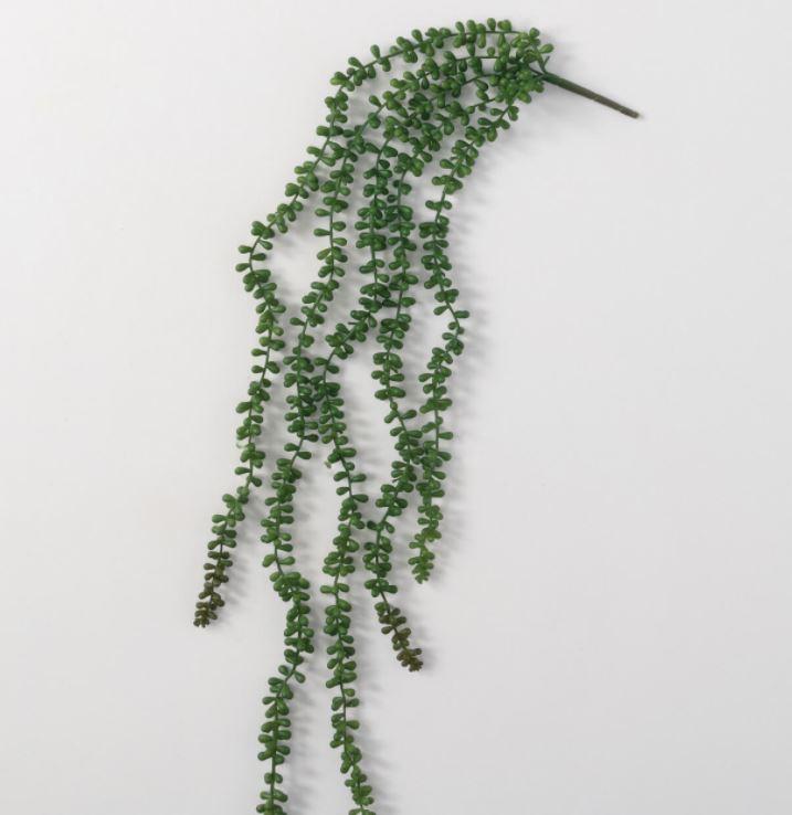 Hanging Mini Succulent