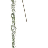 Hanging Succulent Spray