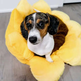 Sunflower Pet Bed