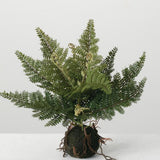 Faux Fern in Ball