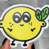 Hot Butt Stickers - 4 Styles