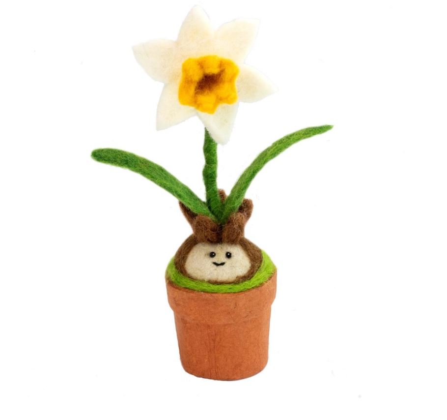 Daffodil Blossom Potted Plant