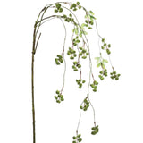 Hanging Irish Moss Spray