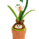 Snow Drop Blossom Potted Plant