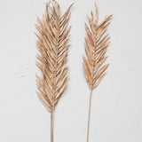 Dried Natural Fountain Palm Bunch, Blush Color, Set of 4
