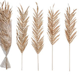 Dried Natural Fountain Palm Bunch, Blush Color, Set of 4