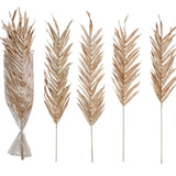 Dried Natural Fountain Palm Bunch, Blush Color, Set of 4