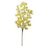 Desert Cosmos Multi Bloom 42" Stem - 2 Colors
