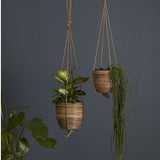 Lomita Hanging Pot - 2 Sizes