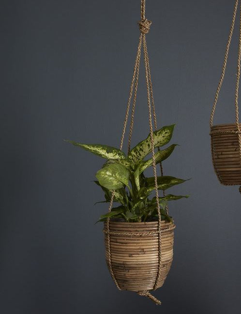 Lomita Hanging Pot - 2 Sizes
