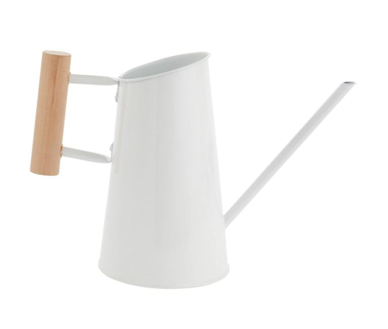 Preston Watering Can - 2 Sizes/2 Colors