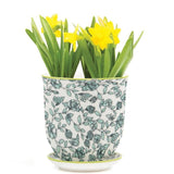 Liberte Pots - 12 Styles & Colors