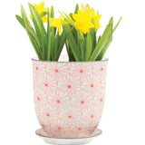 Liberte Pots - 12 Styles & Colors