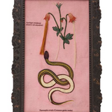 Viepa Wall Art