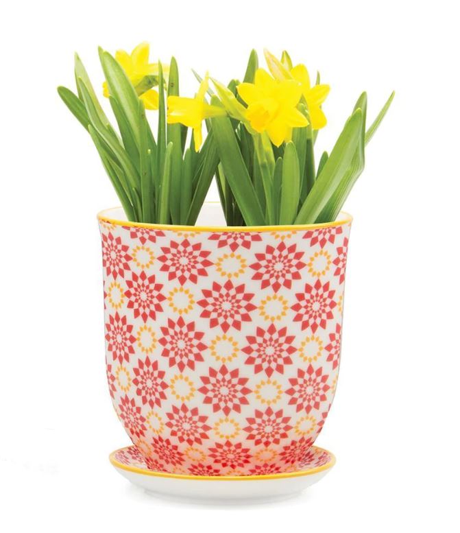 Liberte Pots - 12 Styles & Colors