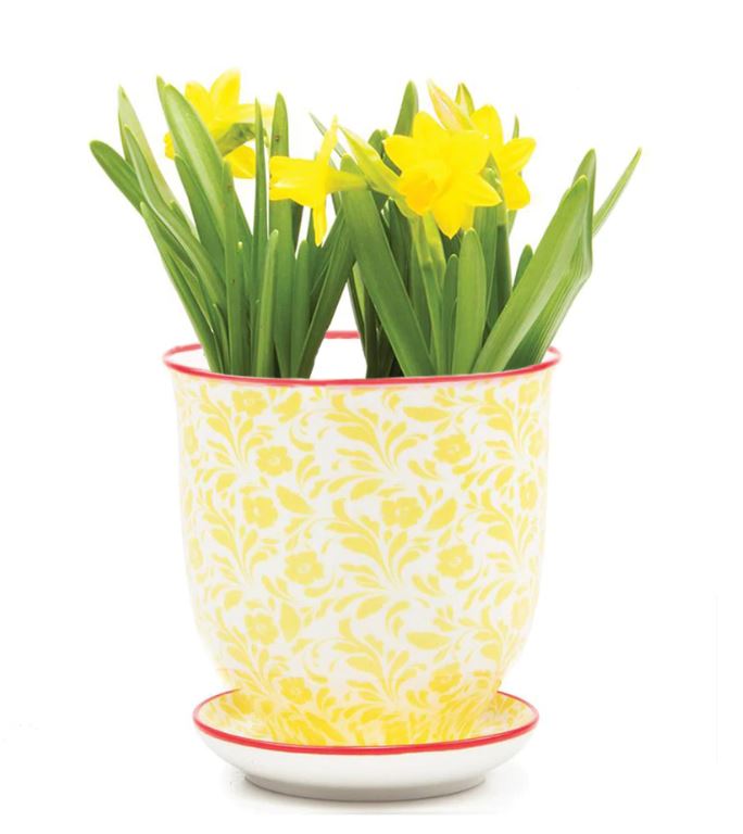 Liberte Pots - 12 Styles & Colors