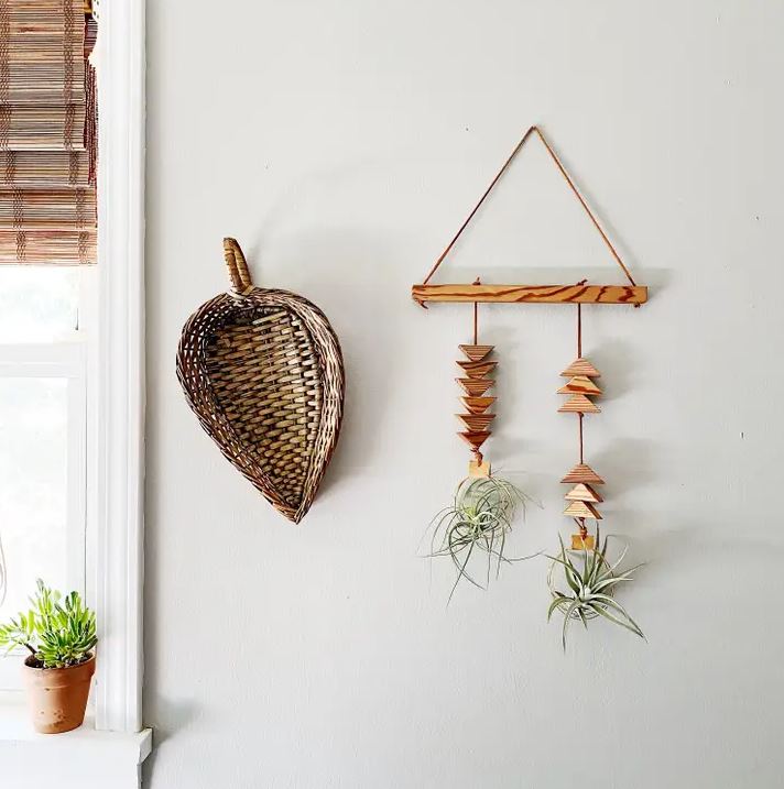 Double Dunes Air Plant Wall Hanging
