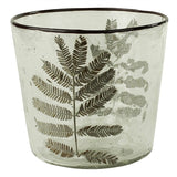 Enameled Fern Hurricane
