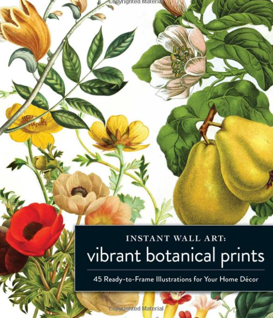 Instant Wall Art Vibrant Botanical Prints: 45 Ready-to-Frame Illustrations