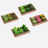 Set of 6 Succulent/Cacti TeaLight Candles - 4 Varieties