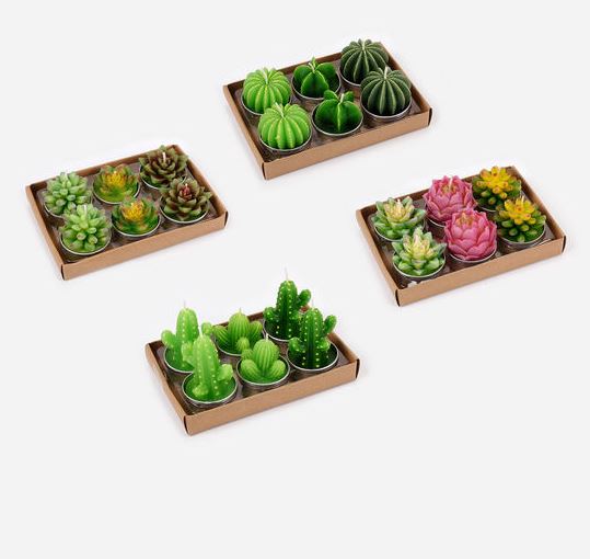 Set of 6 Succulent/Cacti TeaLight Candles - 4 Varieties